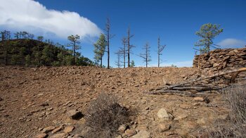 das Hochplateau mit Blick auf den Gipfel des Montaña de Tauro