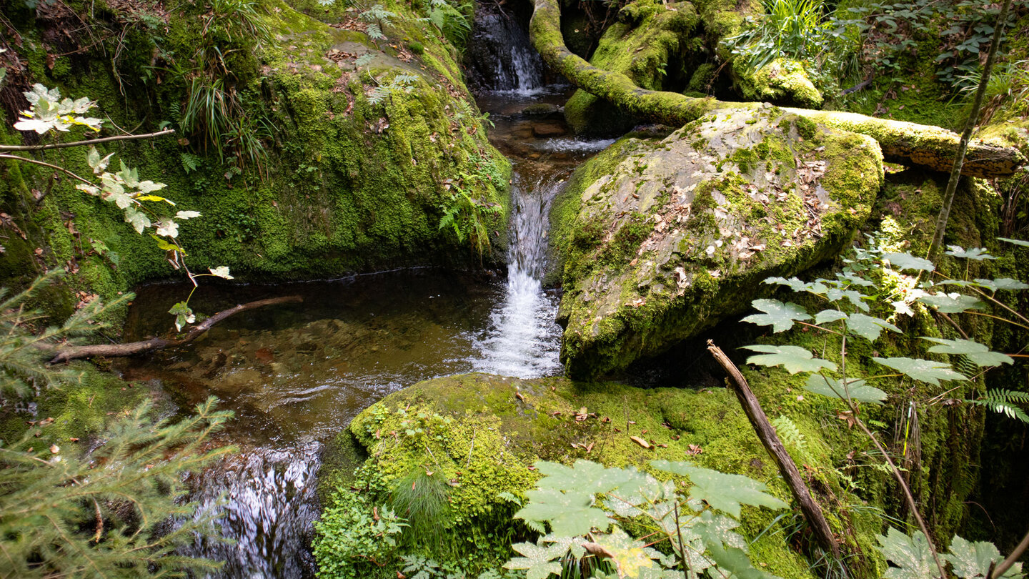 kleine Kaskaden entlang der Wanderung am Gottschlägbach