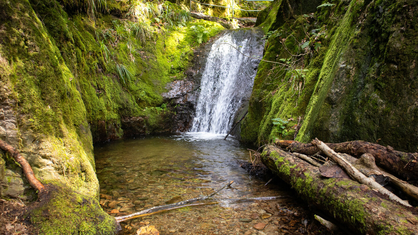 Blick vom Wanderweg auf den Edelfrauengrab-Wasserfall