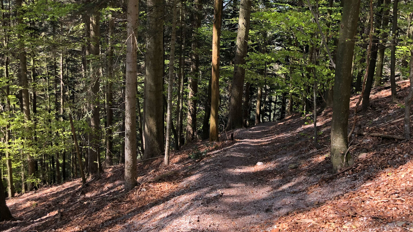 Wanderpfad beim Herrenschrofen