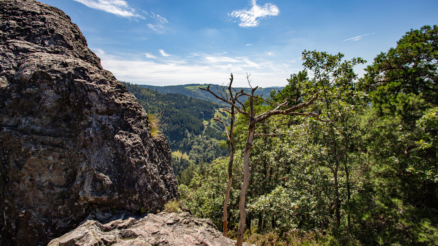 Panoramablick vom Karlsruher Grat über den Nordschwarzwald