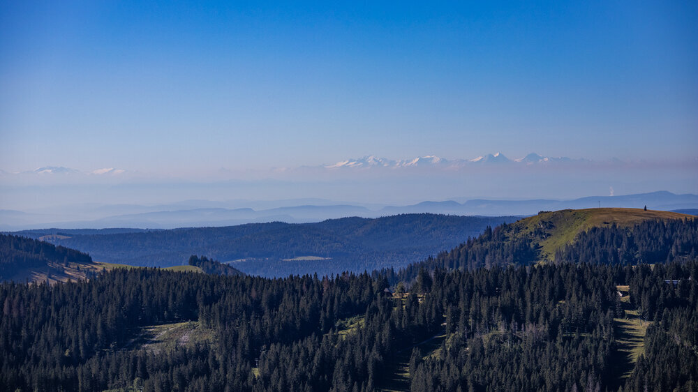 Alpenpanorama am Feldberg