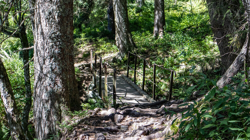 Brücke am Felsenweg - Feldberg im Schwarzwald