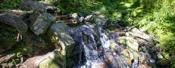 Kaskade am Seebach am Feldberg im Schwarzwald