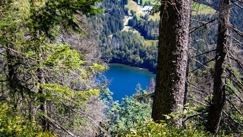 Aussicht auf Feldsee am Feldberg im Schwarzwald