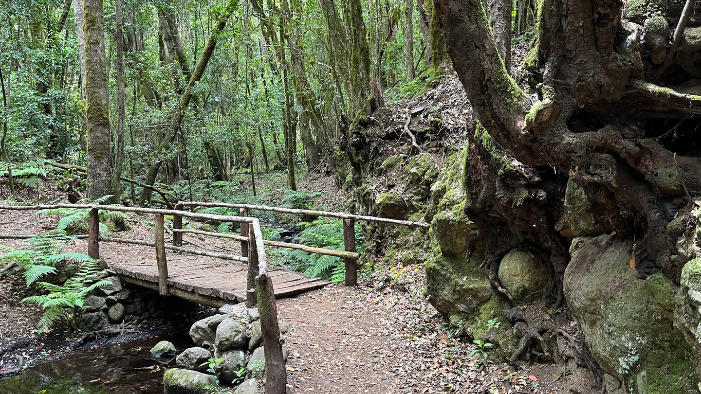 idyllischer Wegverlauf im Barranco del Cedro