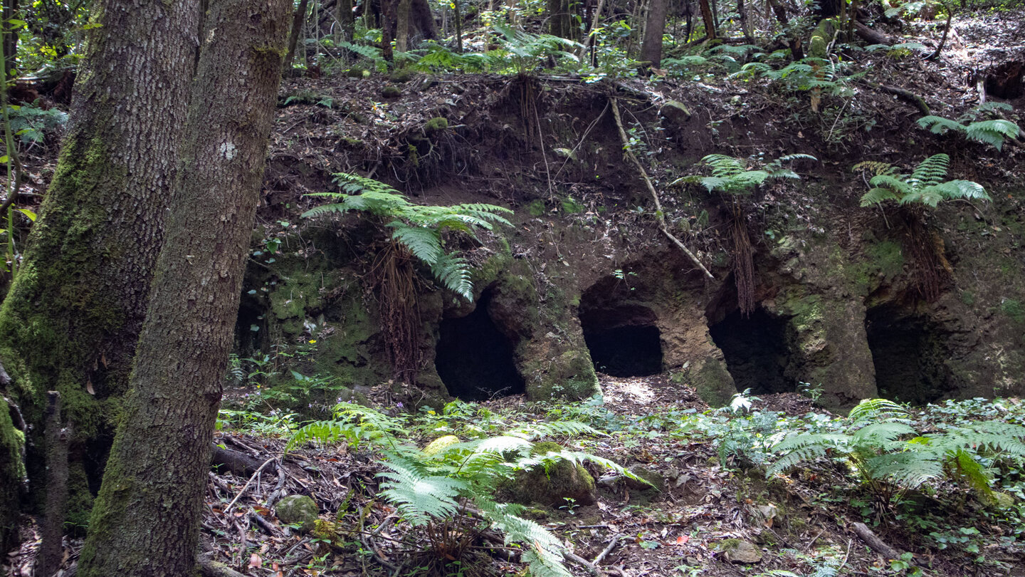 Galerías bei Las Mimbreras