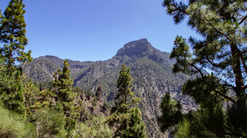 der imposante Gipfel des Pico Bejenado vom Mirador del Lomo de Tagasaste