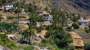 zwischen Palmen liegen die Häuser in Taguluche auf La Gomera