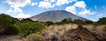 Ausblick auf den Teide von Wanderung 33