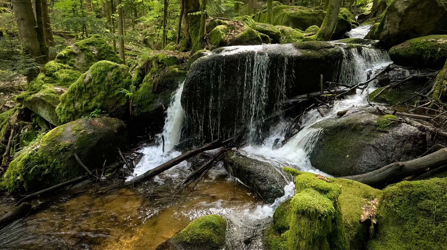 Wanderweg entlang des Gertelbach zwischen gewaltigen Findlingen