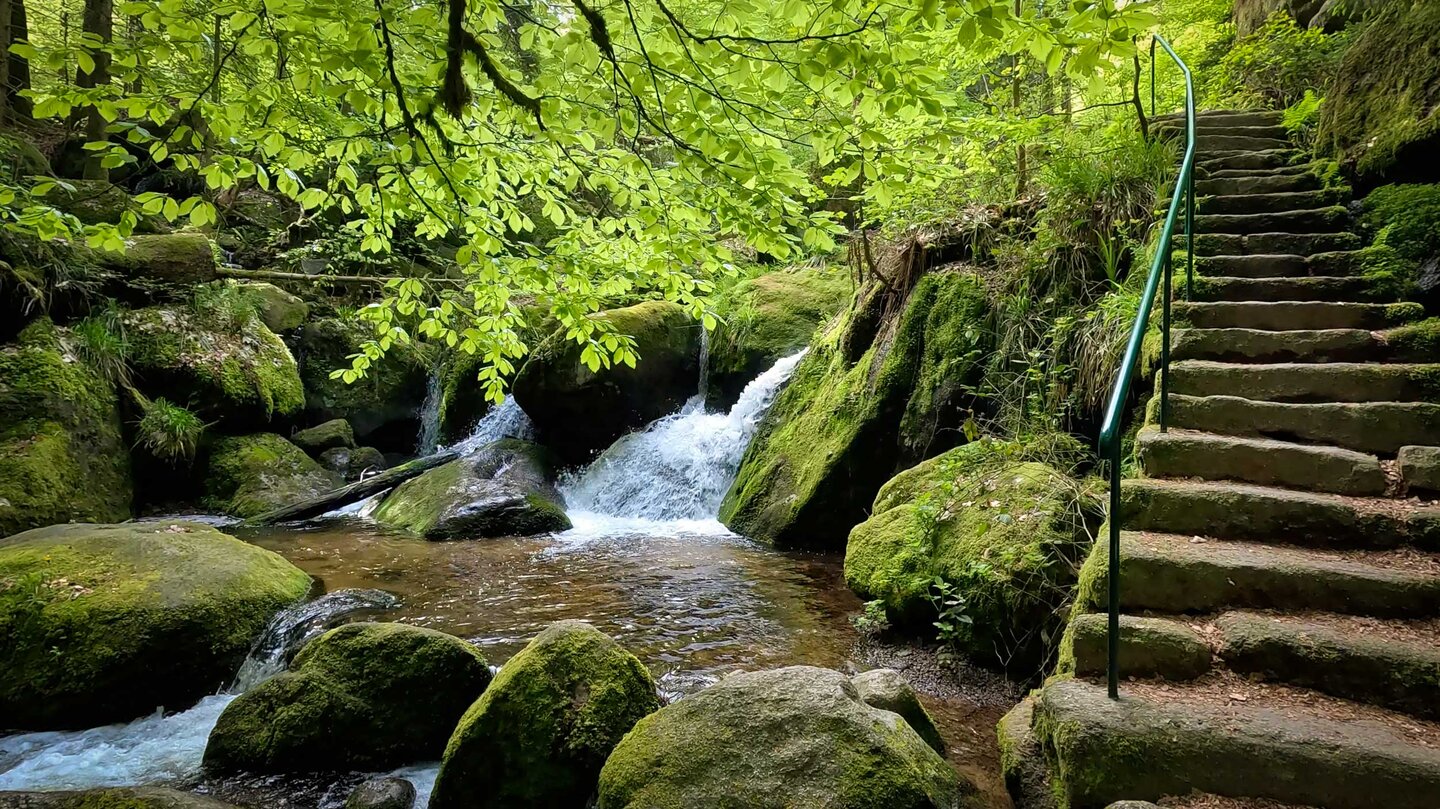 Steintreppen am Wanderweg Gertelbacher Runde