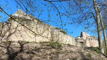 an der Burgruine Schöneck