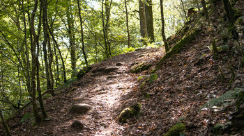 Wanderpfad zur Burg Lützelhardt