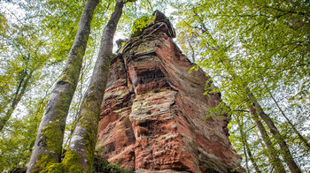 der steil aufragende Windsteinerfels mitten im Buchenwald