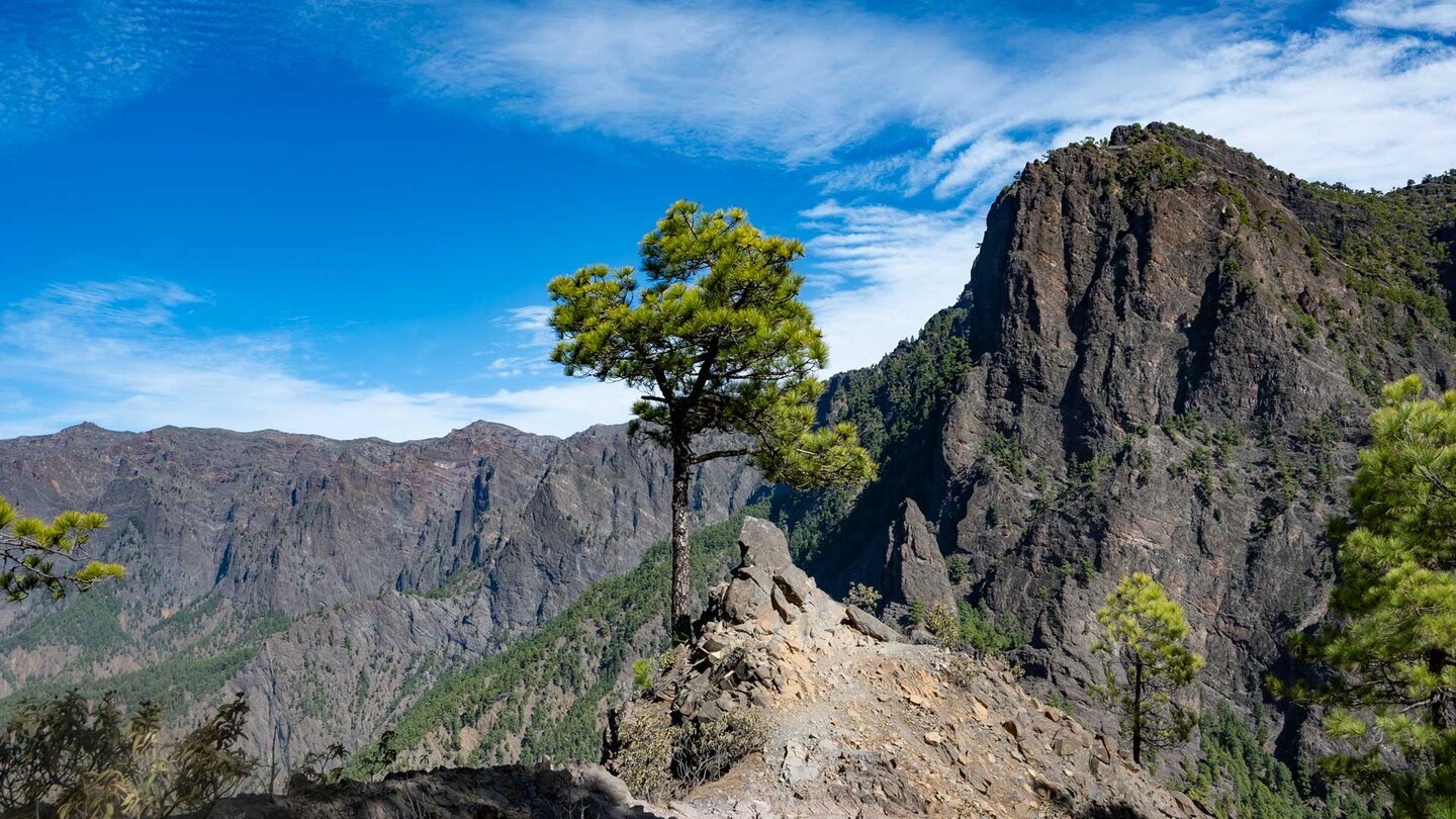 Blick vom Roque de los Cuervos auf die Punta de los Roques