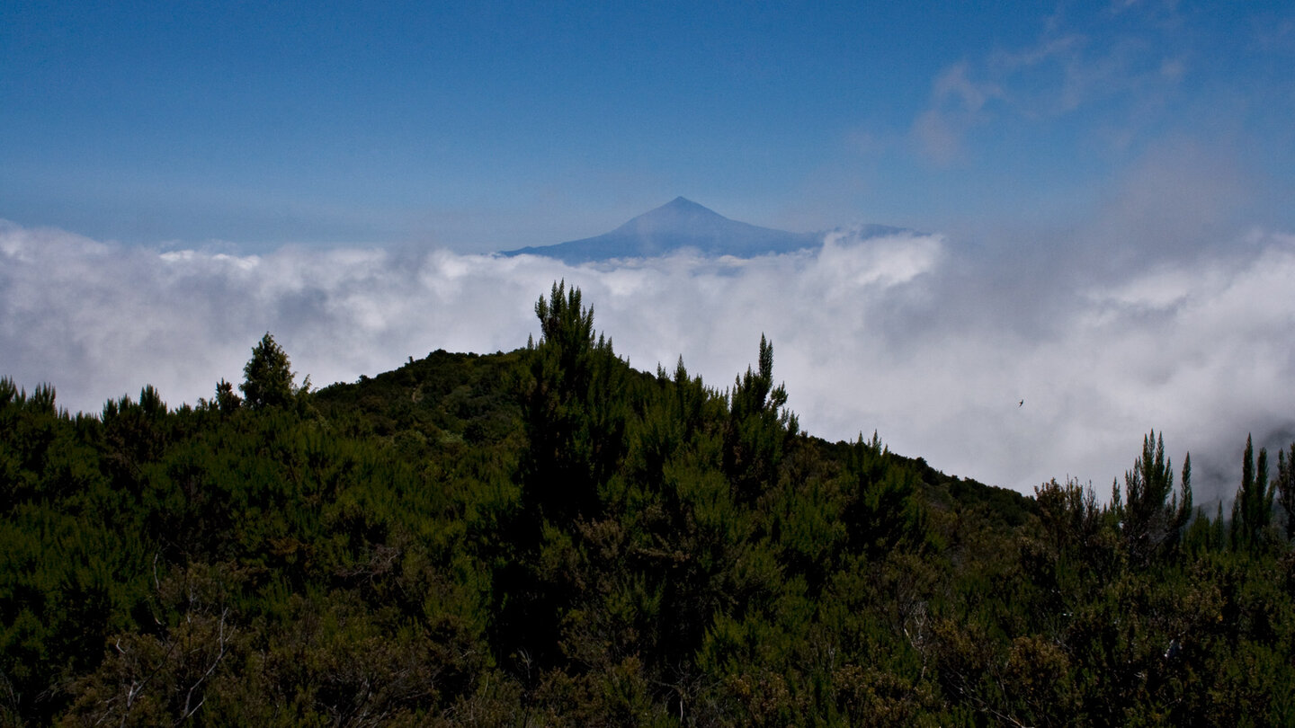 atemberaubender Ausblick zum Teide auf Teneriffa vom Gipfel des Alto de Garajonay auf La Gomera