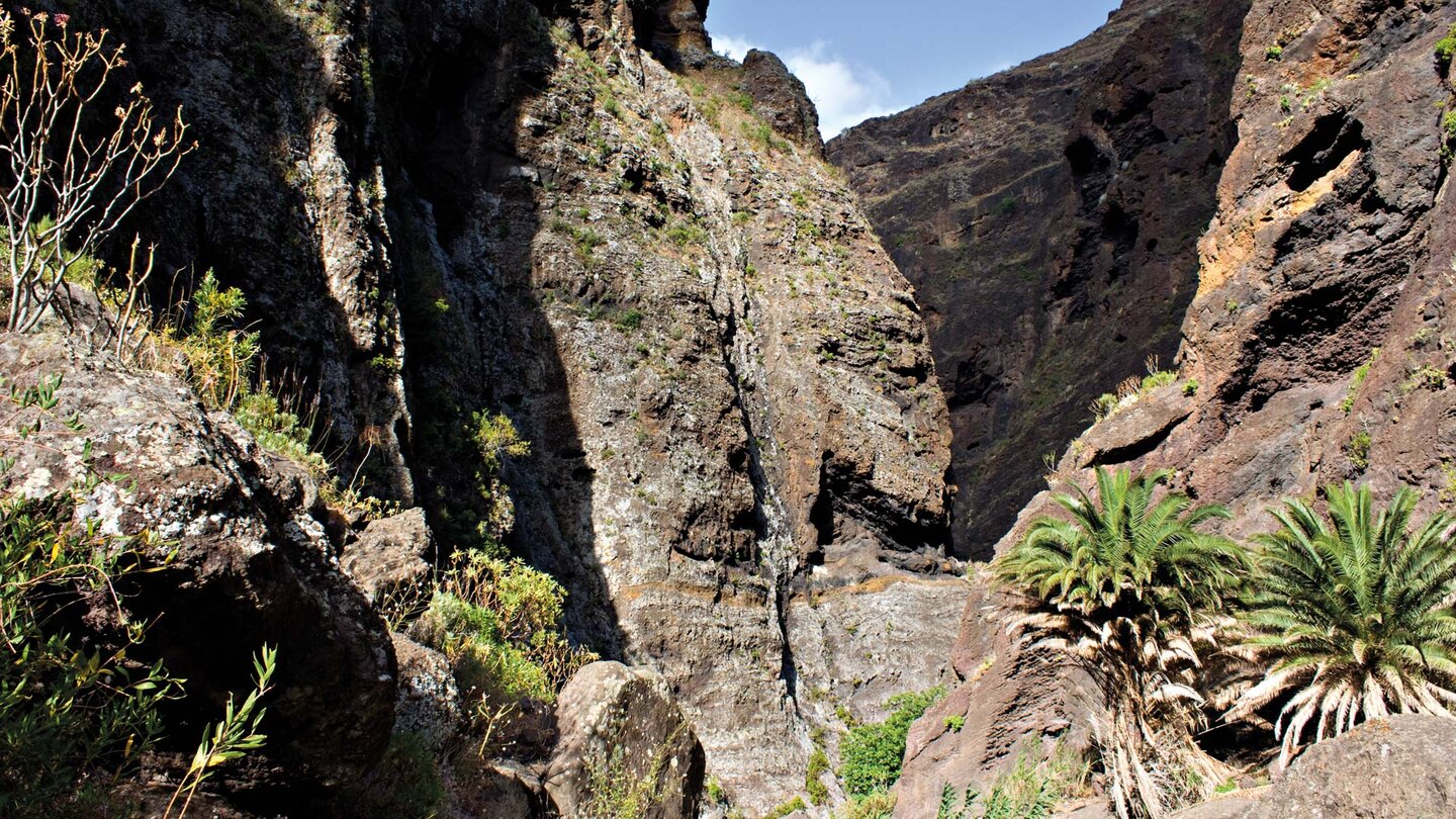 Steilwände der Mascaschlucht