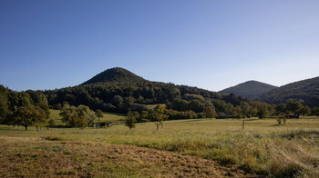 Wiesenlandschaft oberhalb Nothweiler