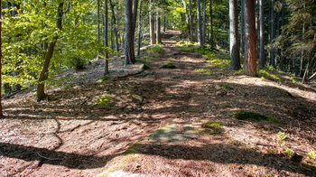 Wanderung auf dem Deutsch-Französischen Burgenweg zum Schlüsselfels