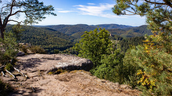 Aussicht vom Krappenfelsen auf die Burg Fleckenstein