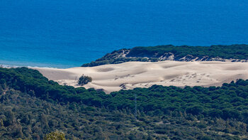 die Duna de Bolonia vom Wanderweg Sendero Faro Camarinal