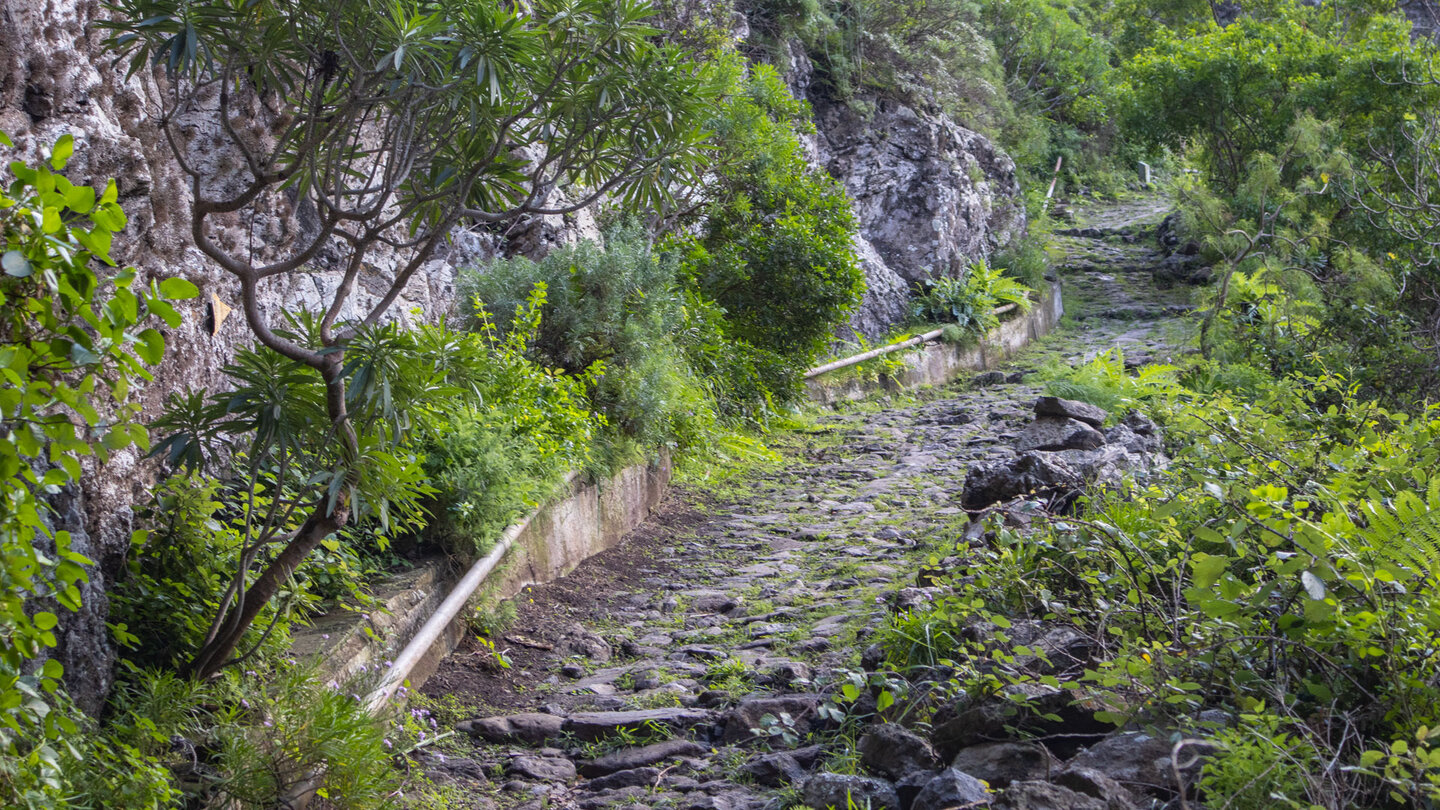 der gepflasterte Wanderweg PR TF-53 Cuevas Negras