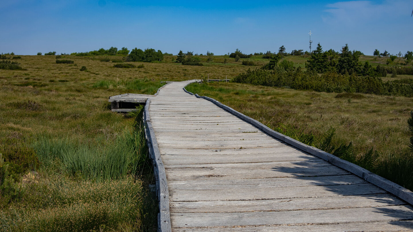 der Seensteig führt über Holzhohlen durch die Moorlandschaft der Hornisgrinde