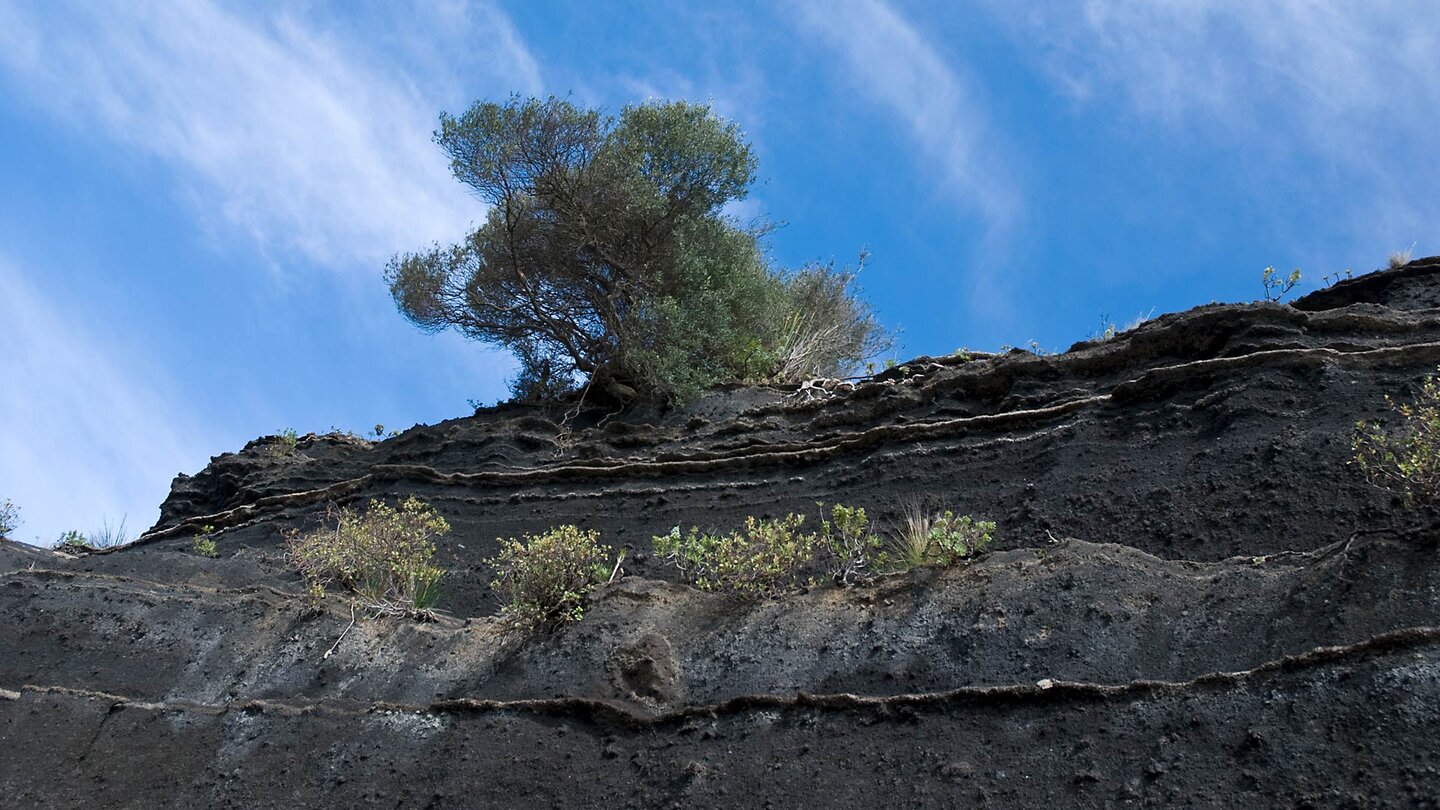 Lavaschichten bei der Caldera de Bandama auf Gran Canaria