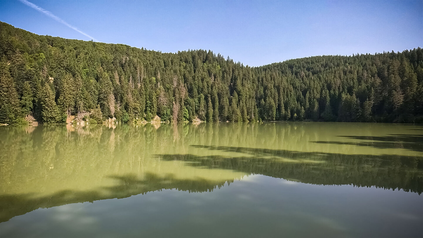 Wanderweg am Lac Vert in den Hochvogesen