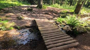 Holzbrücke auf dem Wanderpfad des GR 531 zum Lac Vert