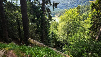 Ausblick vom Wanderweg auf den Lac Vert