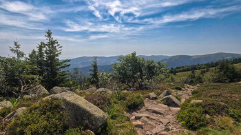 Abstieg auf dem Fernwanderweg GR 5 Vosges