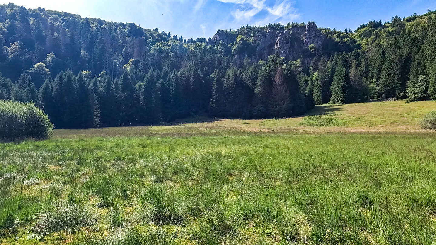 Hochmoor mit Felswand Naturschutzgebiet Frankenthal-Missheimle