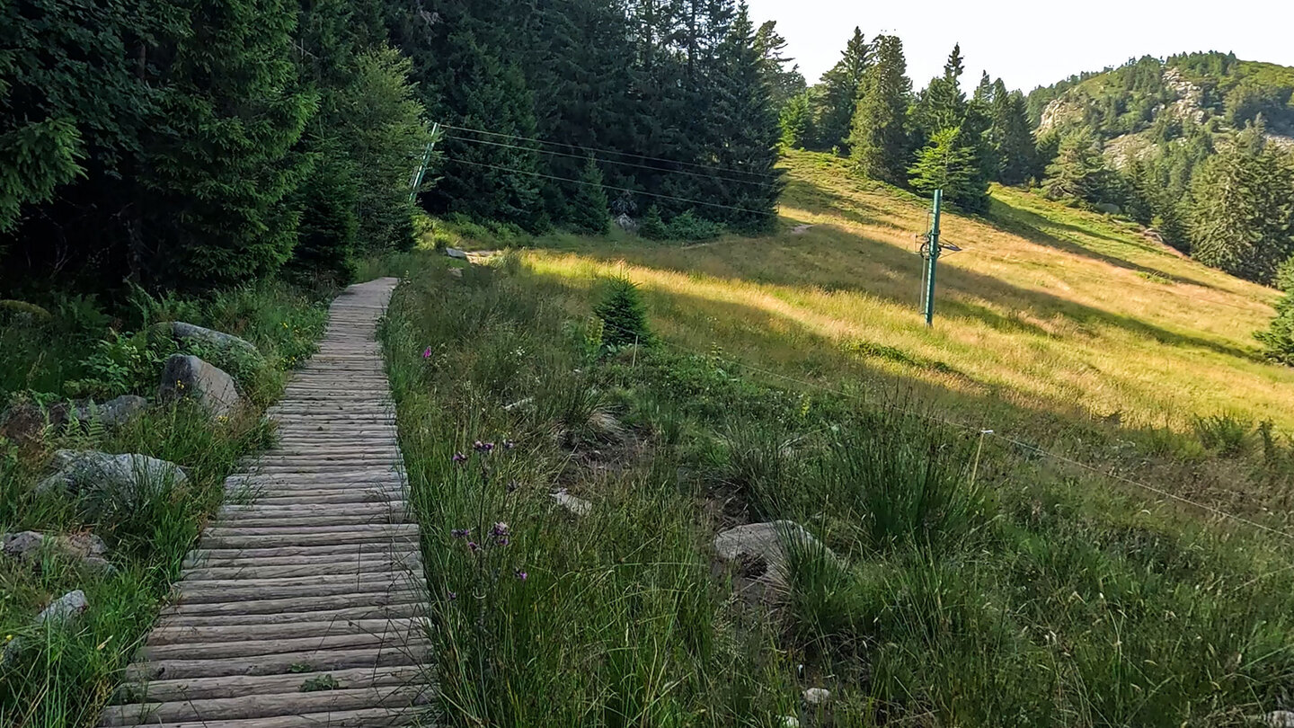 Bohlenweg zum Seestaedtle