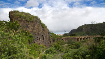 Blick über den Jardín Canario auf Gran Canaria