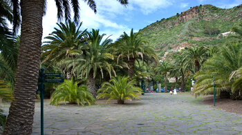 der Eingangsbereich des Jardín Canario auf Gran Canaria