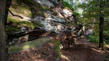 Sandsteinriffwanderweg Langer Fels