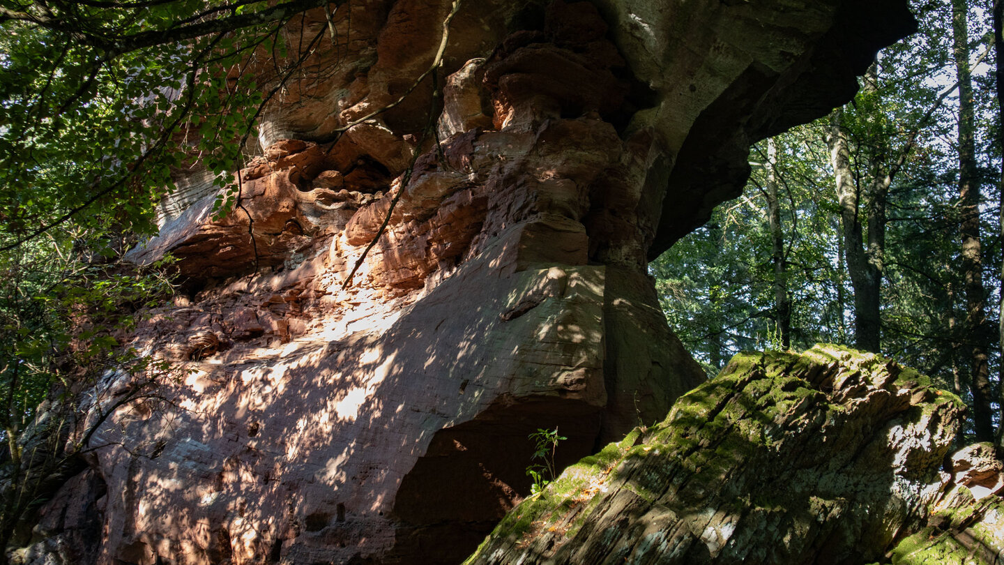 zur Felsformation Krötenstuhl gelangt man über einen Waldpfad