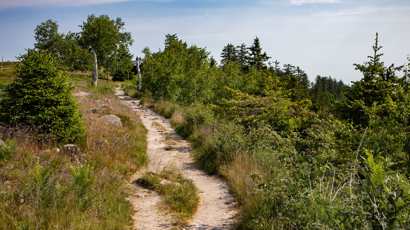 Wanderroute Hornisgrinde und Ochsenstall