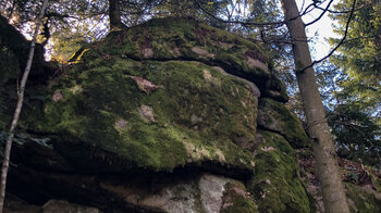 bemooste Felsen begleiten den Wanderweg am Luchspfad