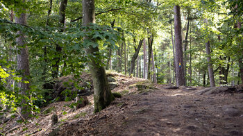 Wanderweg zum Lämmerfels