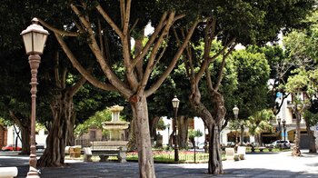 Die Plaza del Adelantado in La Laguna