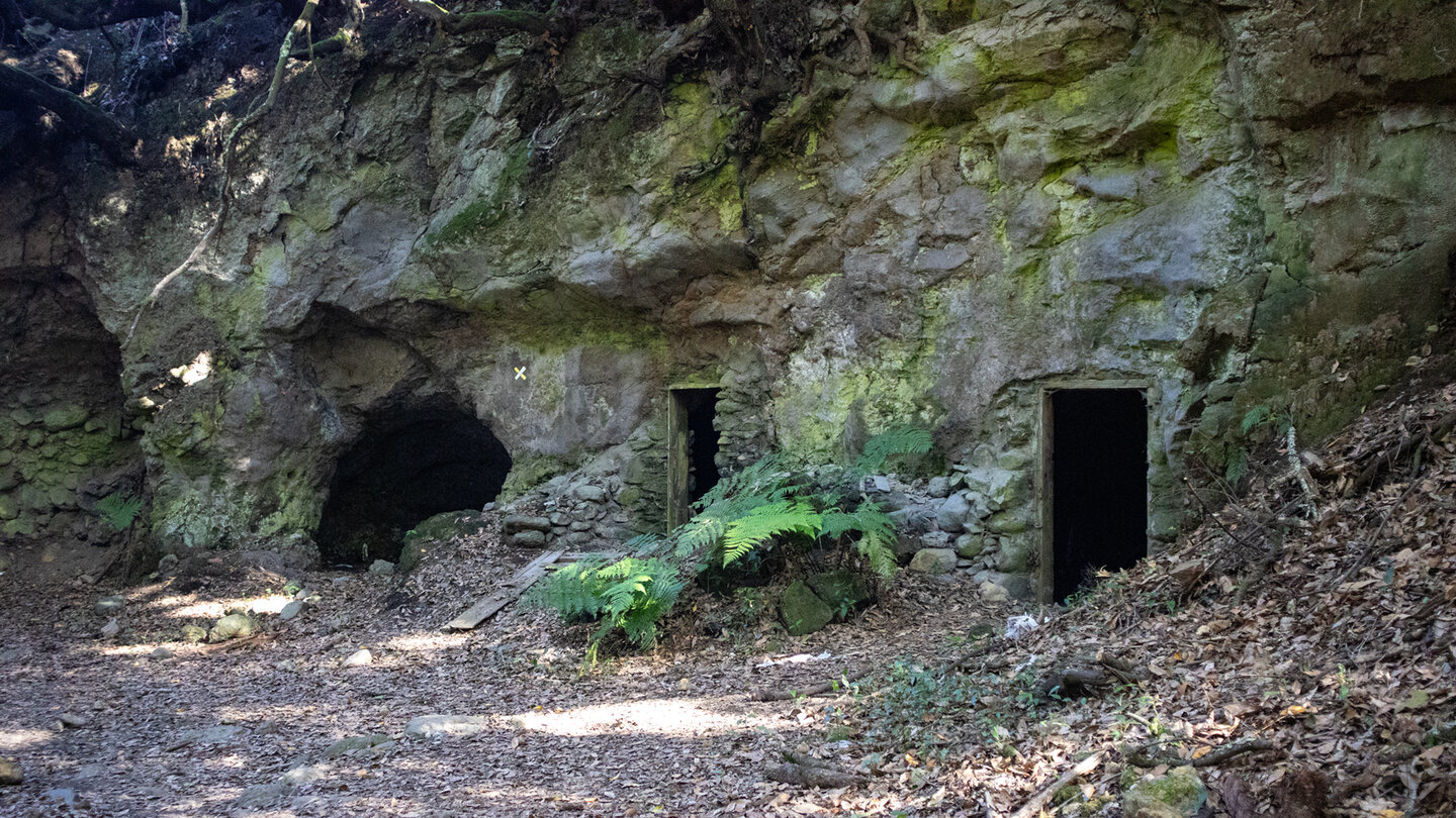 Höhlen in den Felswänden der Zarza-Schlucht