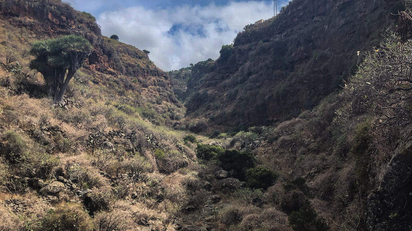 die Schlucht Barranco de la Luz bei Garafía