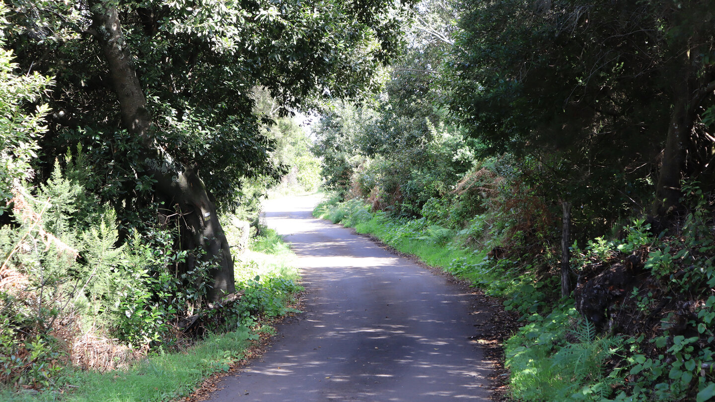 Wanderung teilweise auf Asphaltstraßen nach La Zarza