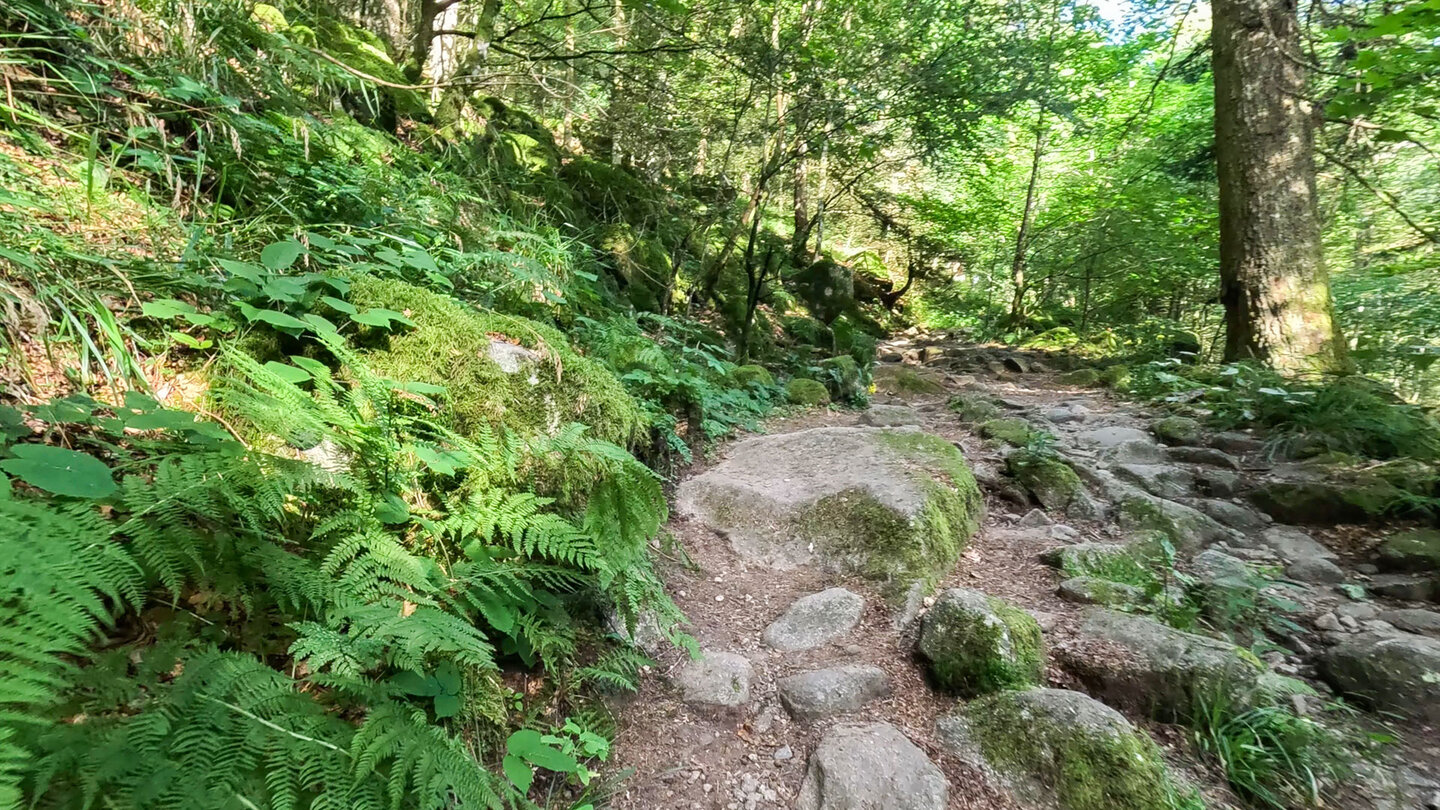 Wanderweg am Fuß der Spitzköpfe