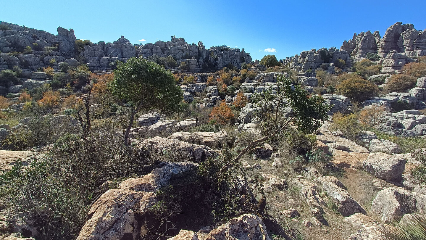 bizarre Kalksteinformationen im El Torcal de Antequera