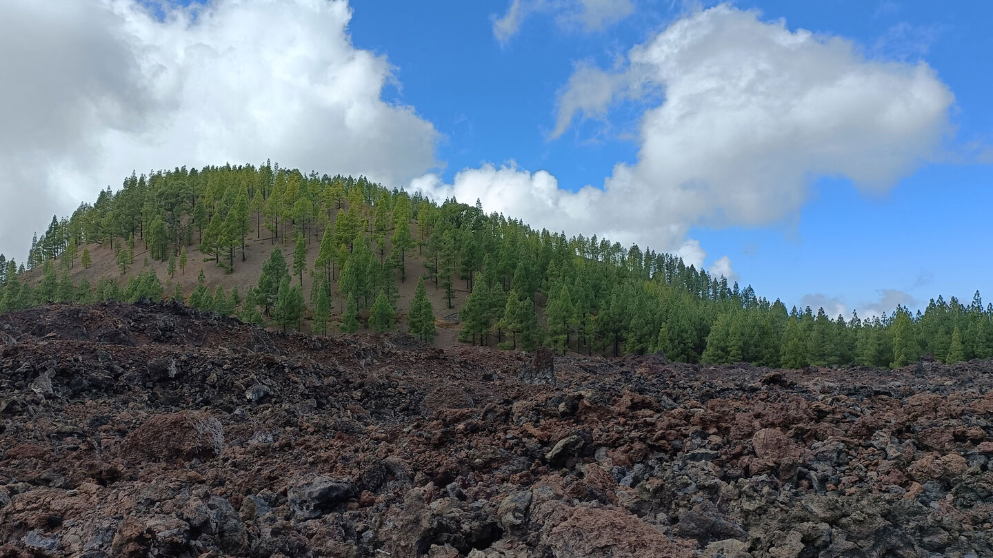 auf der Rundwanderung im Naturschutzgebiet Chinyero bieten sich Ausblicke auf zahlreiche Vulkane