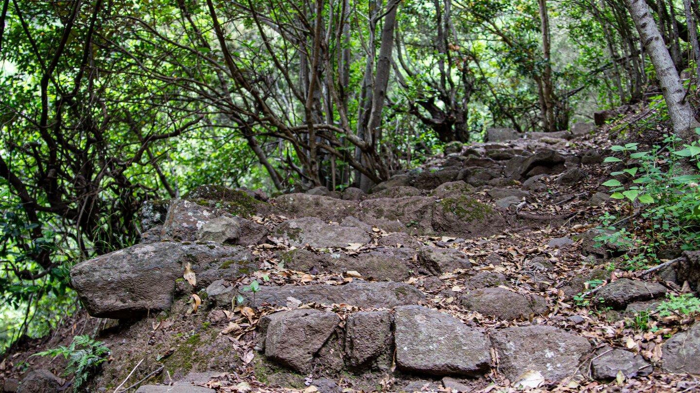 Wanderweg beim Aufstieg am Wasserfall El Cedro